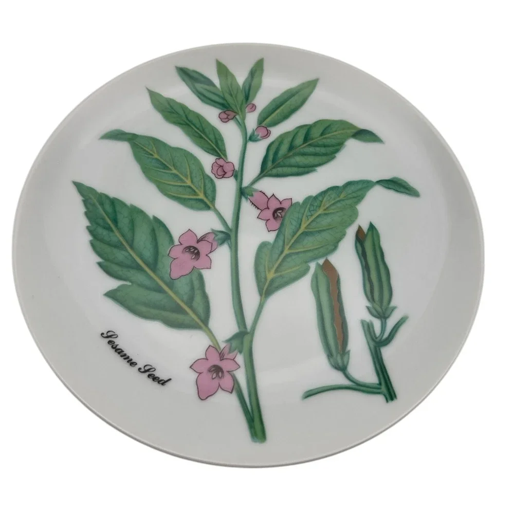 6 NEIMAN MARCUS HORCHOW BOTANICAL FLOWER HERB PLATES DESSERT SALAD